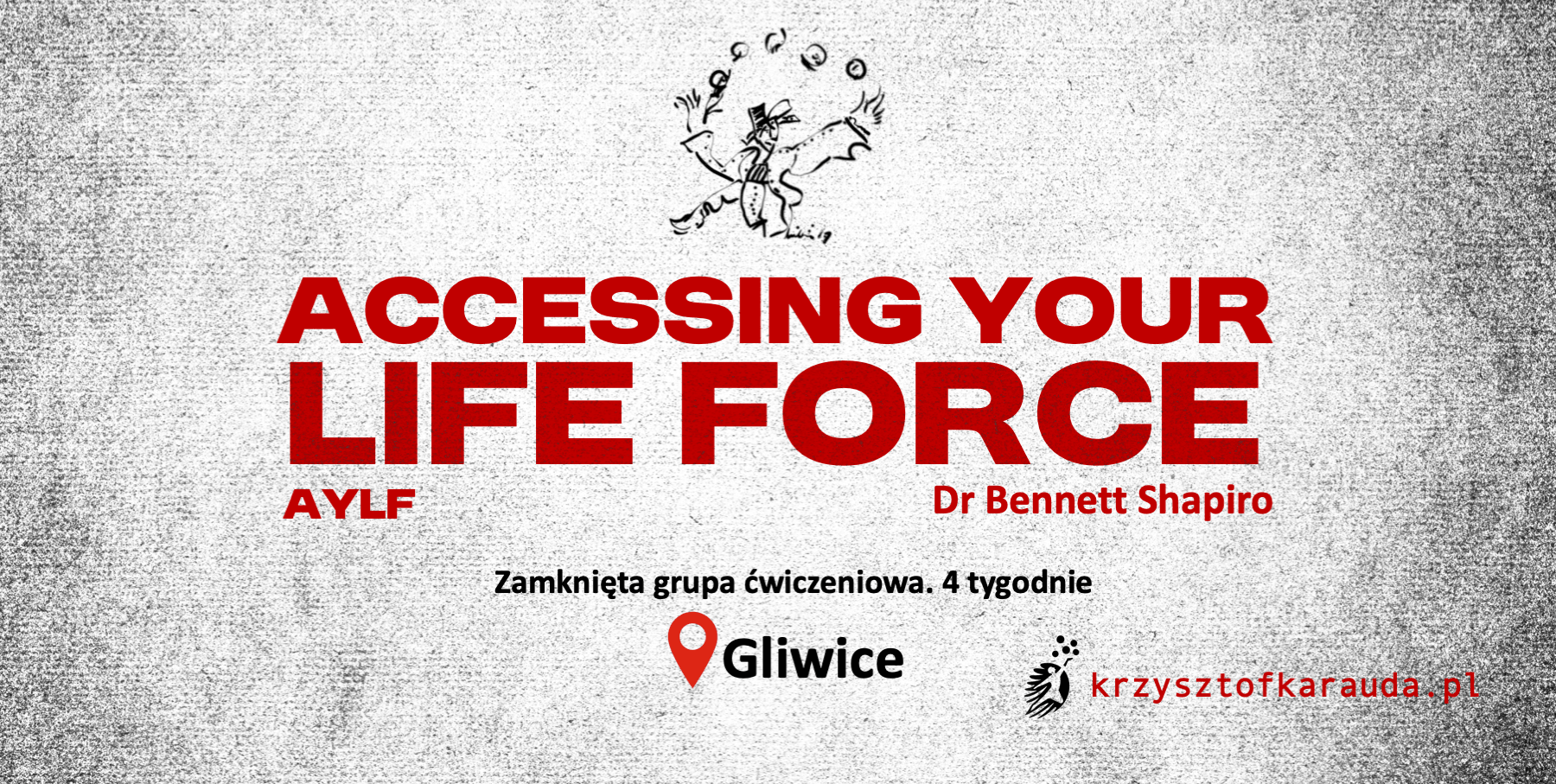 AYLF 4 tygodniowa grupa Life Force. Gliwice